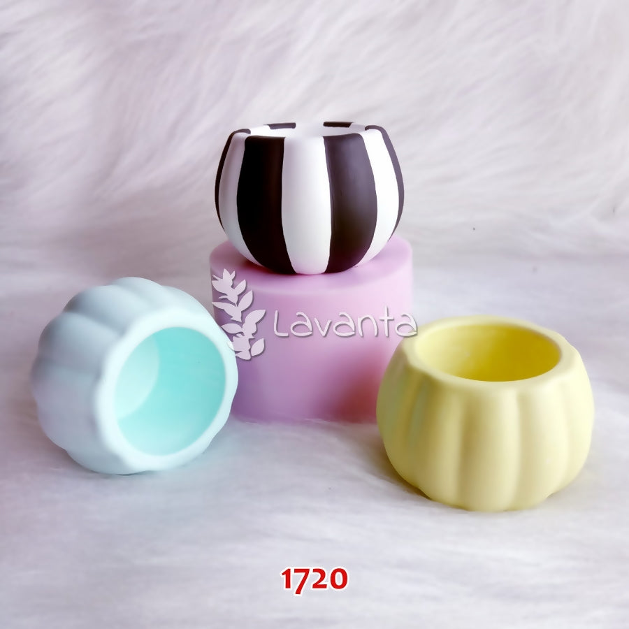 Hediyelik Sukulent Saksı Silikon Kalıbı