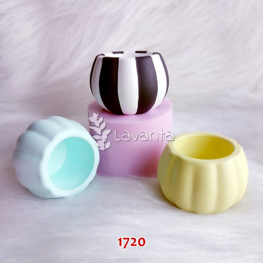 Hediyelik Sukulent Saksı Silikon Kalıbı