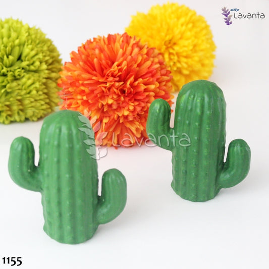 Kaktüs Biblo Kokulu Taş Kalıbı