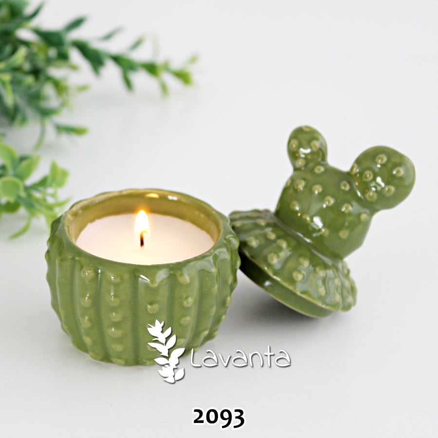 Kaktüs Mumluk ve Kutu Kalıbı