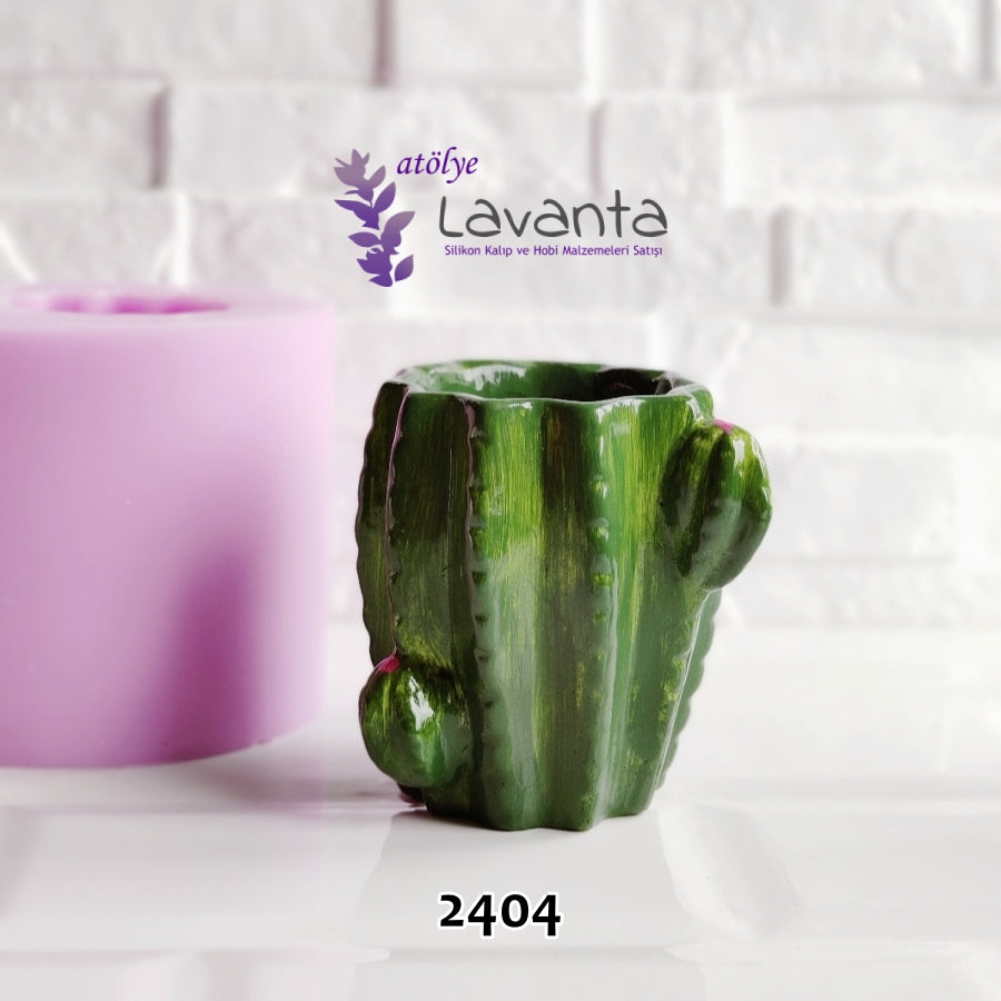 Sukulent Boy Kaktüs Saksı Kalıbı