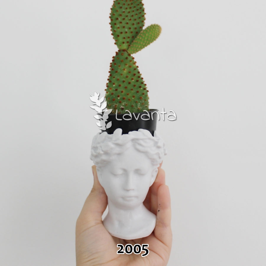 Mini Antik Saksı Silikon Kalıbı