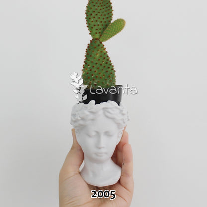 Mini Antik Saksı Silikon Kalıbı