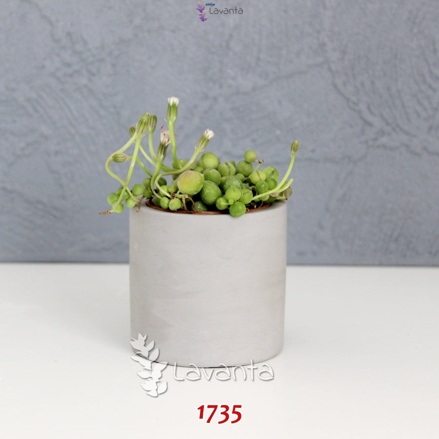 Küçük Boy Silindir Saksı Silikon Kalıbı