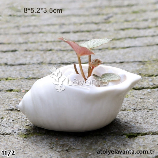 Küçük Deniz Kabuğu Sukulent Saksı Silikon Kalıbı