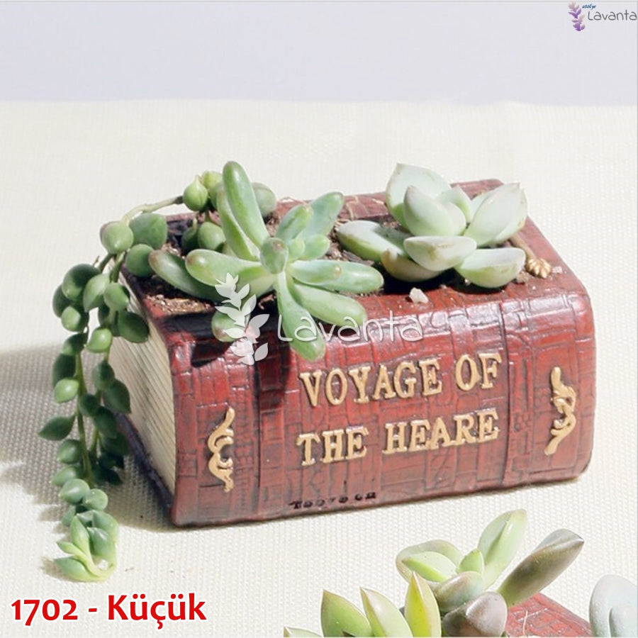 Küçük Kitap Sukulent Saksı Kalıbı