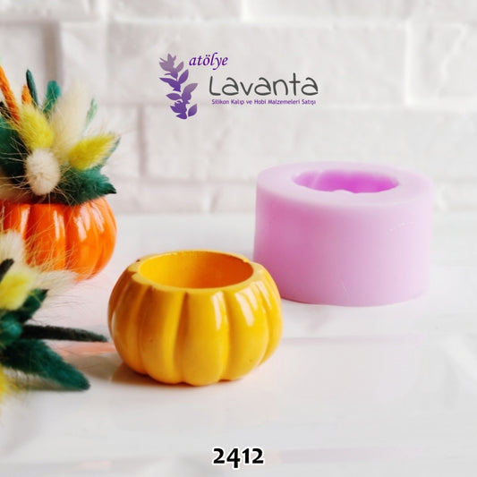 Mini Kabak Saksı Kalıbı