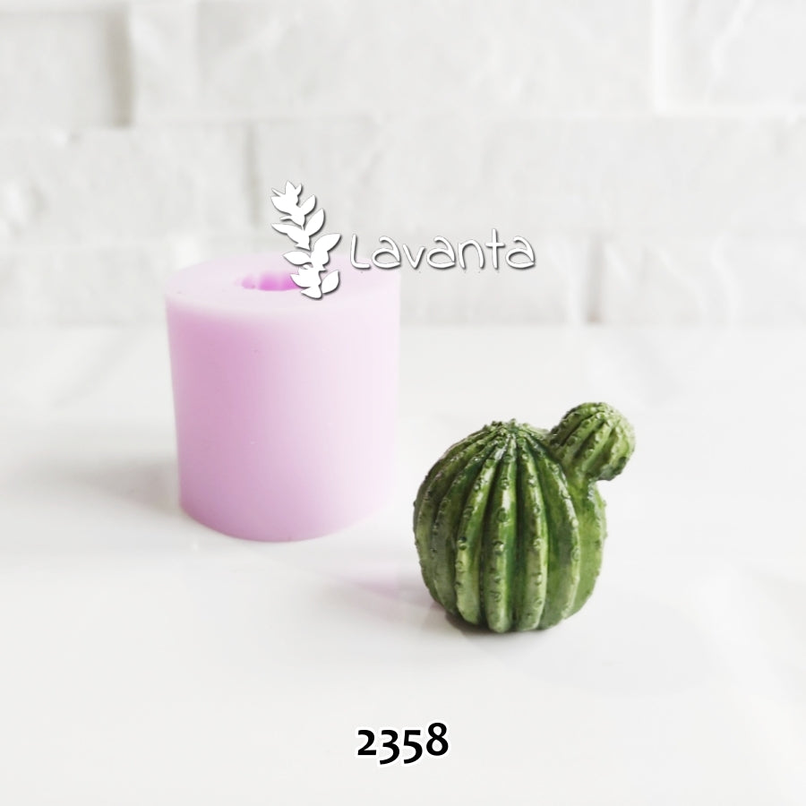 Mini Kaktüs Kalıbı