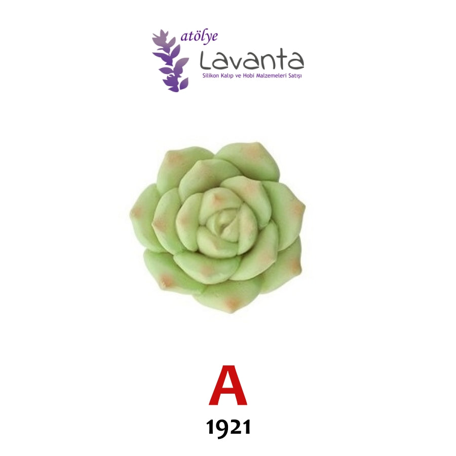 Mini Sukulent Silikon Kalıpları