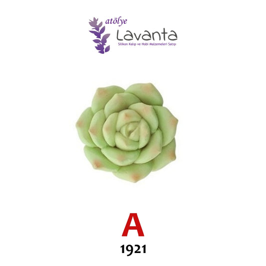 Mini Sukulent Silikon Kalıpları