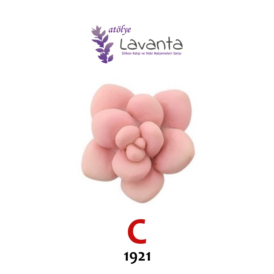 Mini Sukulent Silikon Kalıpları