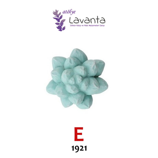 Mini Sukulent Silikon Kalıpları