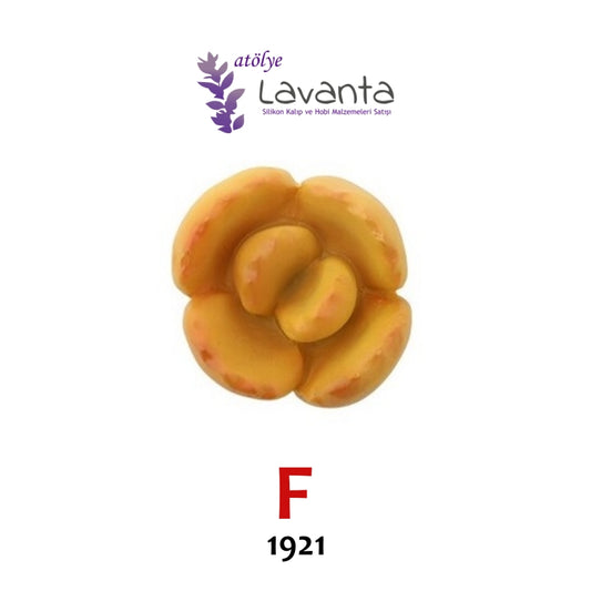 Mini Sukulent Silikon Kalıpları