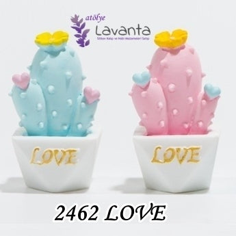 Minyatür Saksıda Love Kaktüs Kalıbı