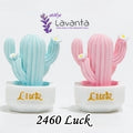 Minyatür Saksıda Luck Kaktüs Kalıbı