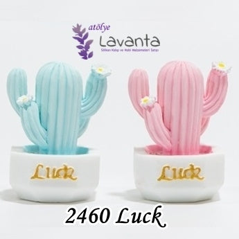 Minyatür Saksıda Luck Kaktüs Kalıbı