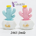 Minyatür Saksıda Smile Kaktüs Kalıbı