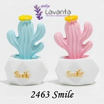 Minyatür Saksıda Smile Kaktüs Kalıbı