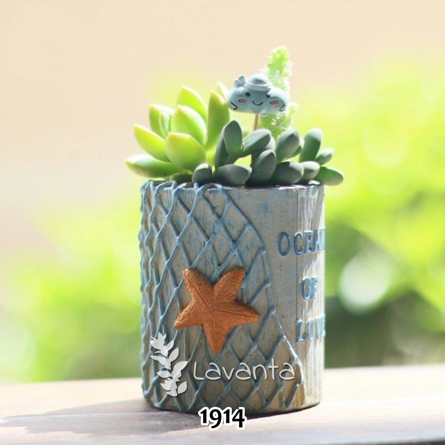Okyanus Aşkı Sukulent Saksı Kalıbı