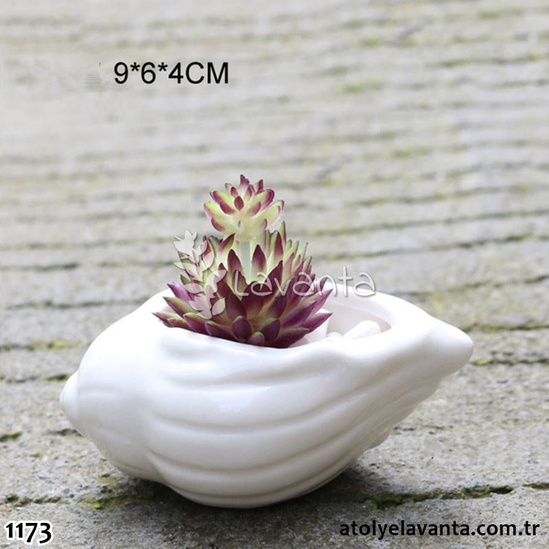 Orta Boy Deniz Kabuğu Sukulent Saksı Silikon Kalıbı