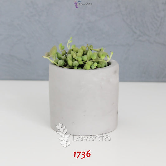 Orta Boy Silindir Saksı Silikon Kalıbı