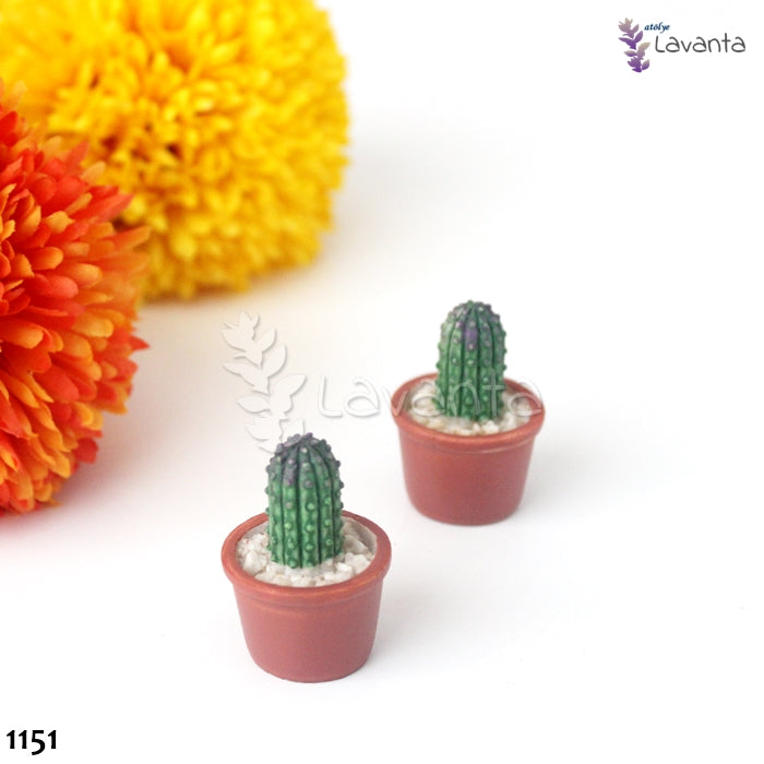 Saksıda Kaktüs Silikon Kalıbı