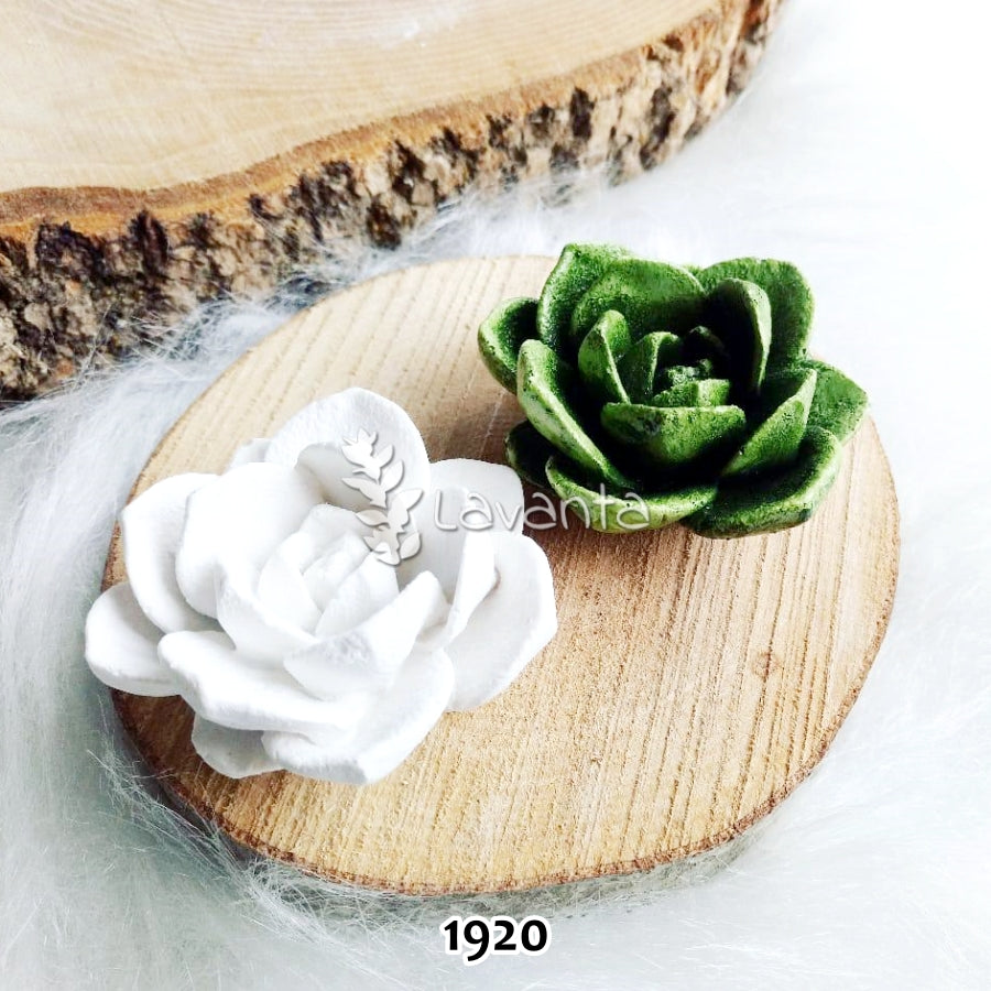 Sukulent Silikon Kalıbı