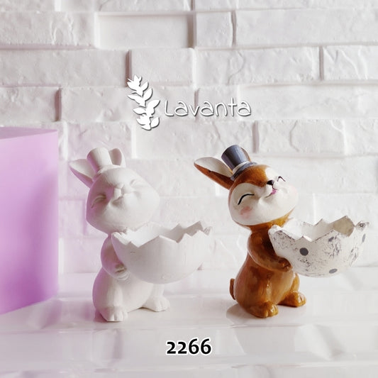 Sunumcu Bay Tavşan Kalıbı