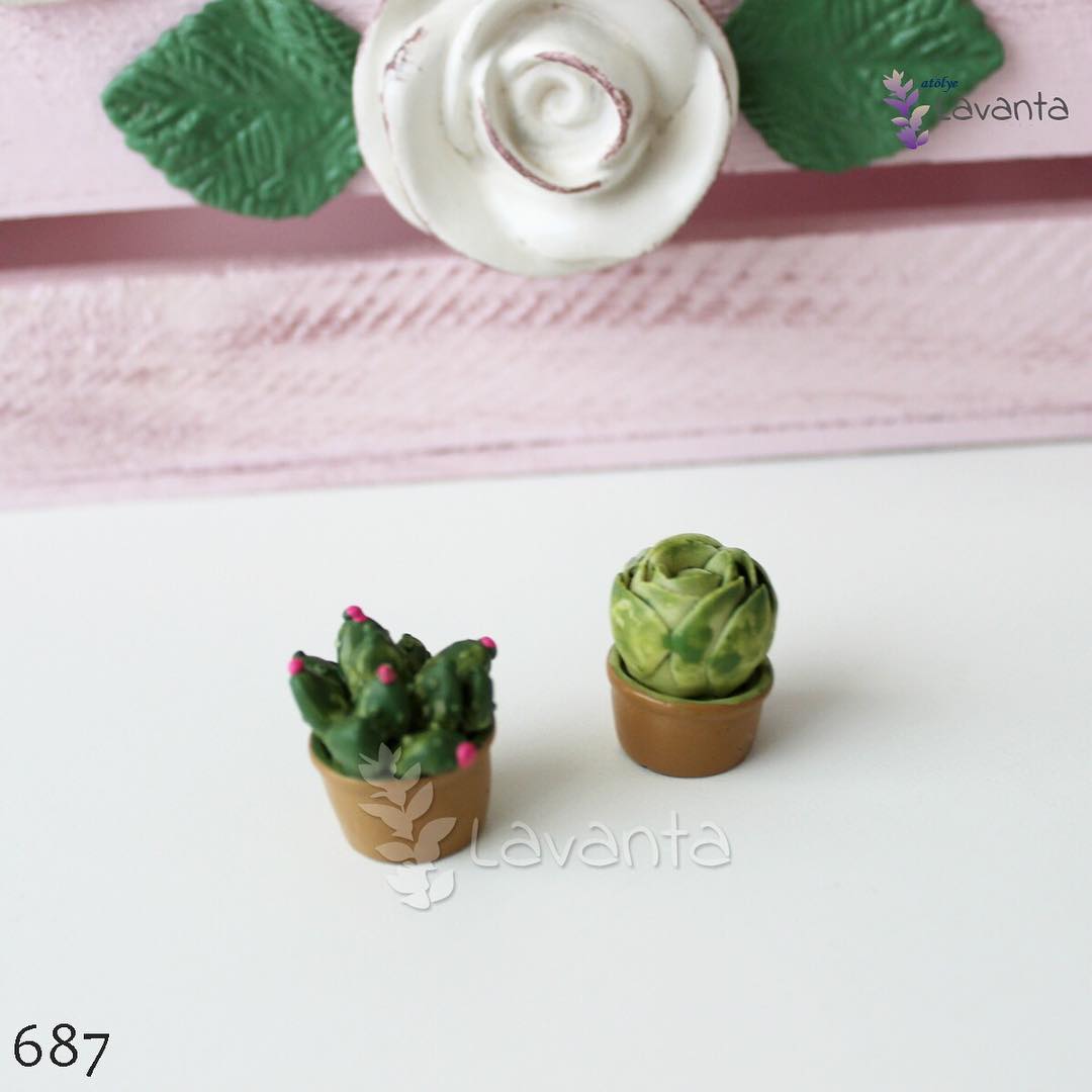 Teraryum Succulent ve Kaktüs Silikon Kalıbı