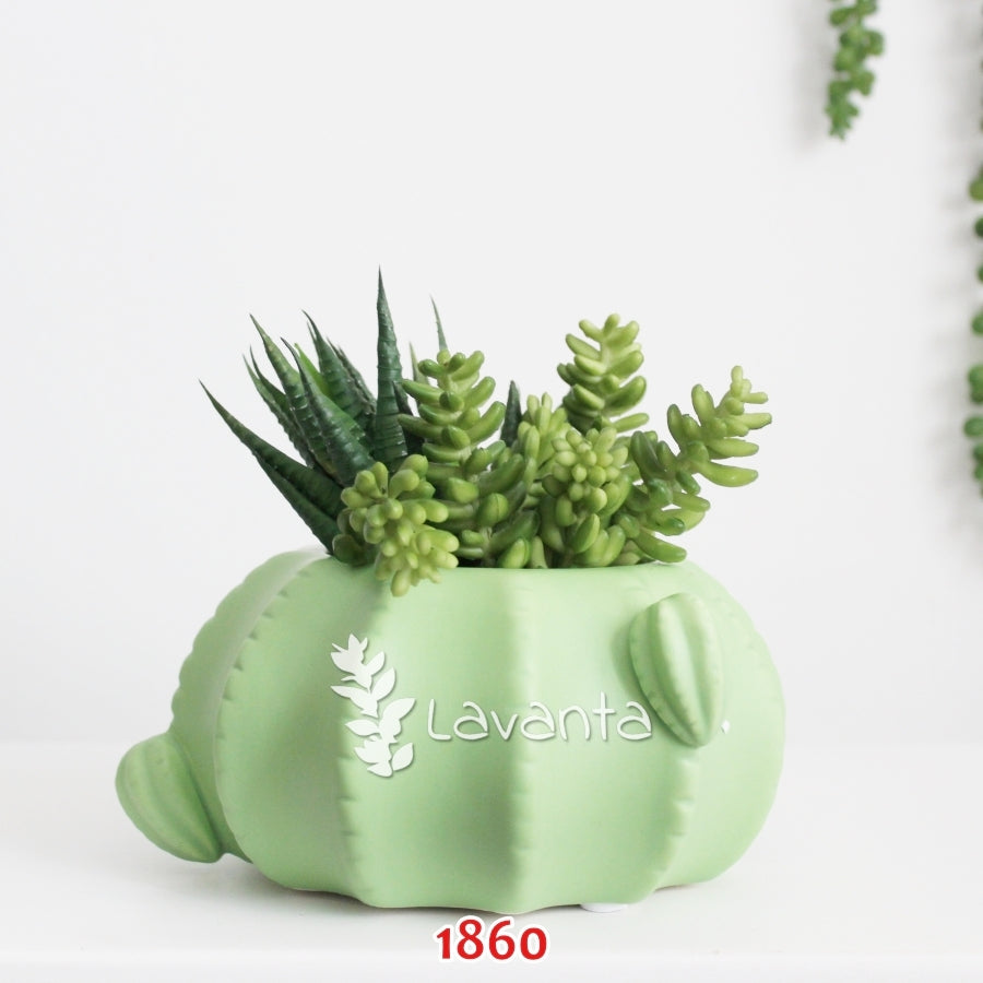 Tombul Kaktüs Saksı Silikon Kalıbı