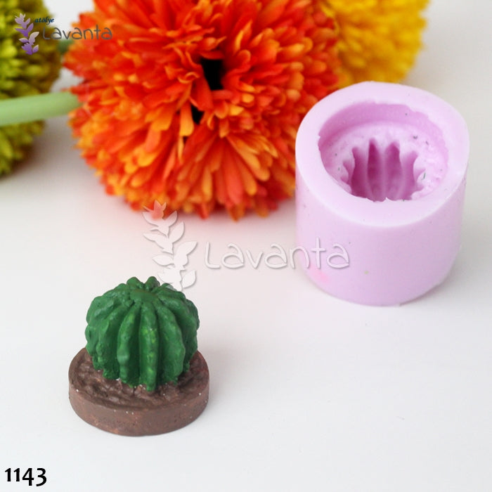 Topraklı Kaktüs Kokulu Taş Silikon Kalıbı