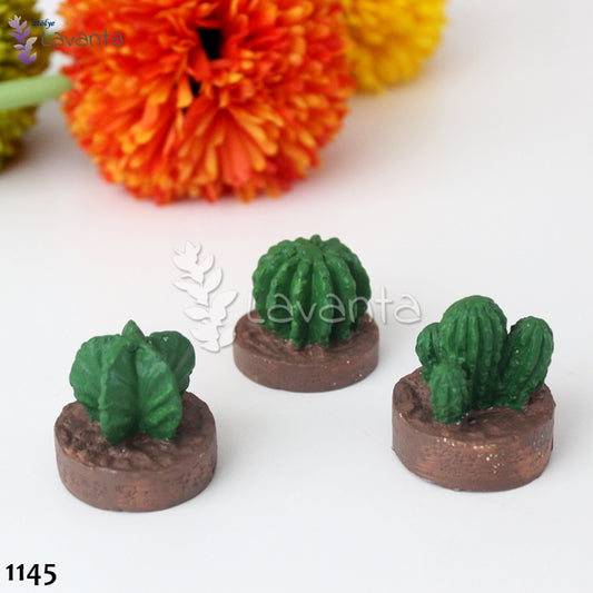 Topraklı Kaktüs Seti Silikon Kalıbı