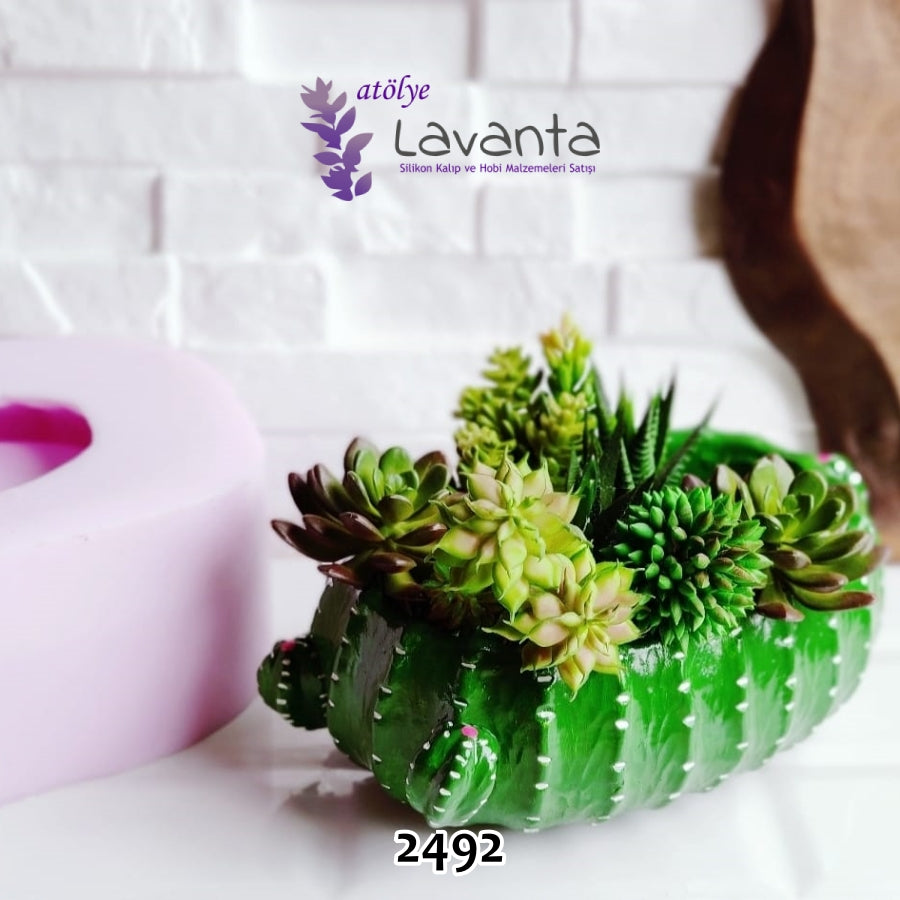 Uzun Oval Kaktüs Saksı Kalıbı