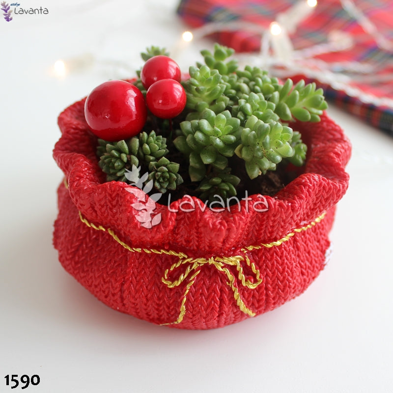 Yılbaşı Sukulent Saksı Silikon Kalıbı