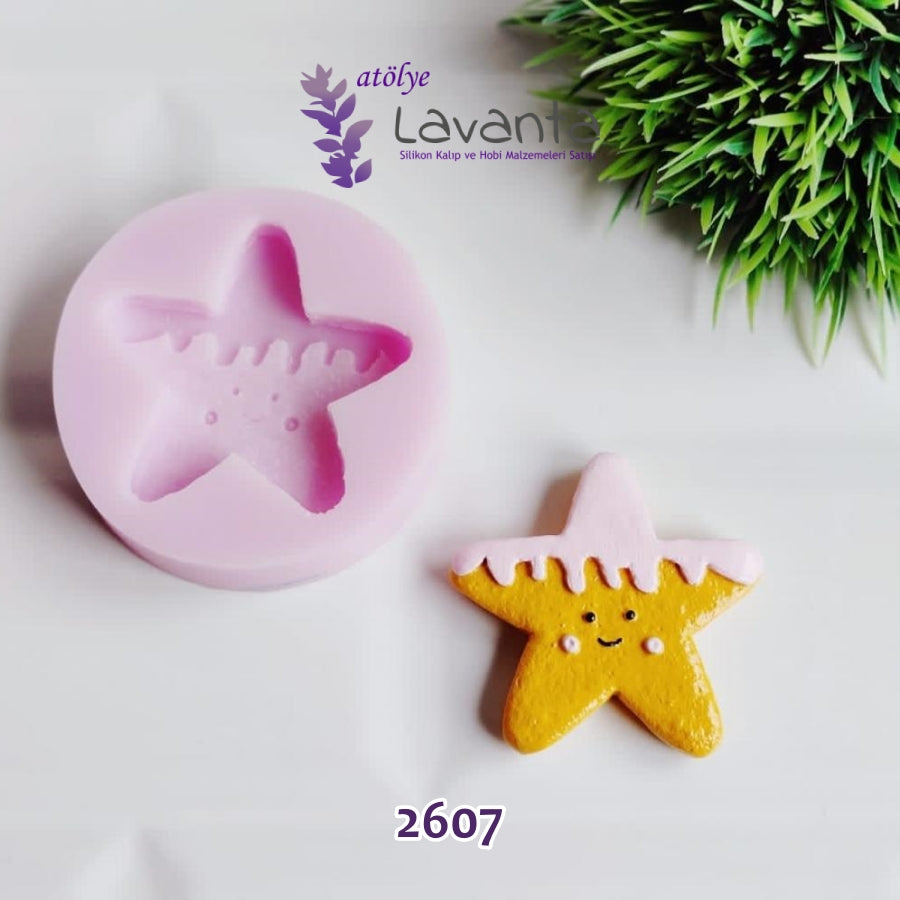 Yıldız Kurabiye Silikon Kalıbı