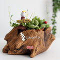 Ağaç Kökü Sukulent Saksı Kalıbı