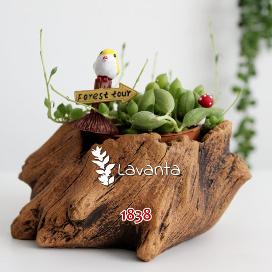 Ağaç Kökü Sukulent Saksı Kalıbı