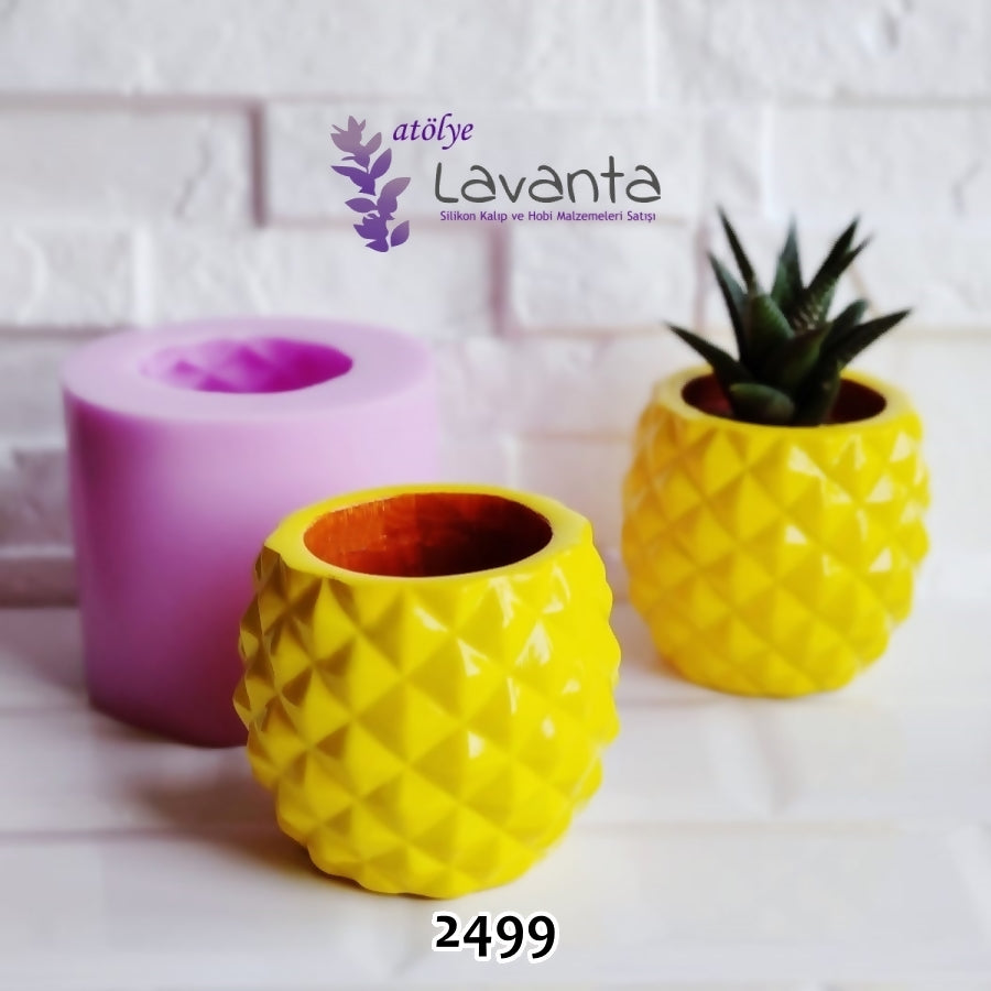 Ananas Saksı Kalıbı