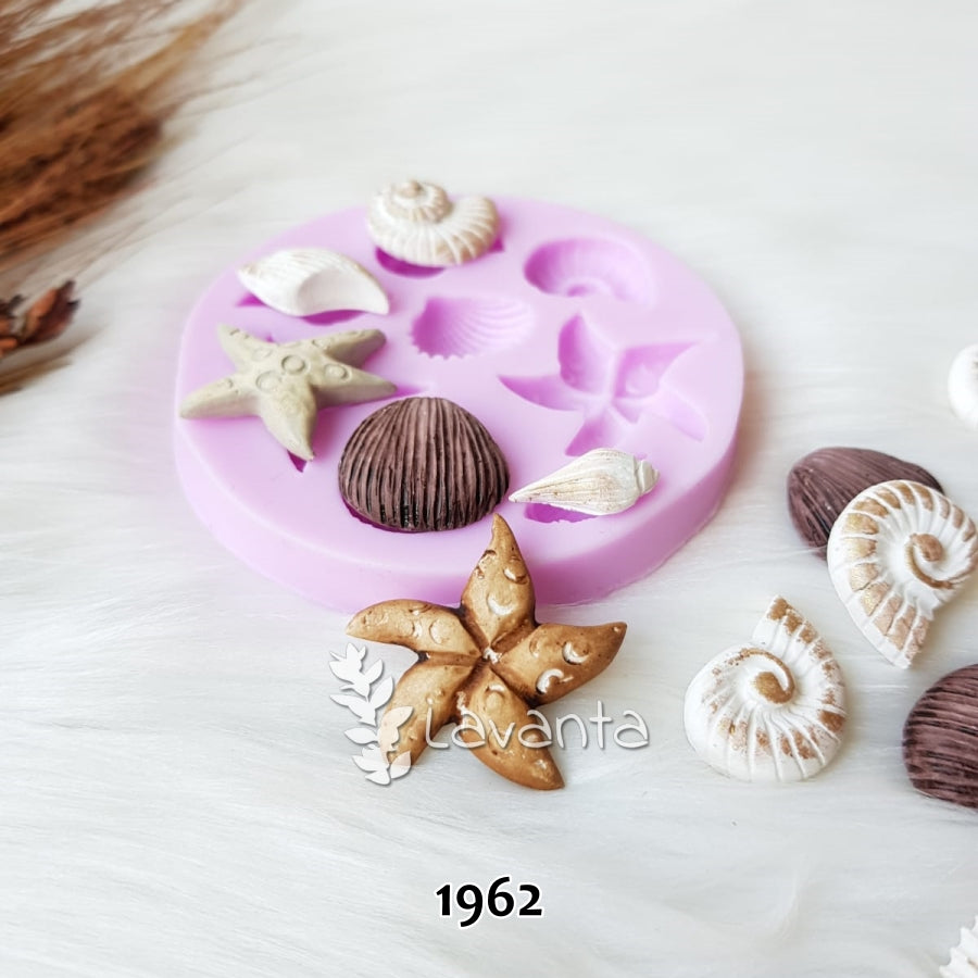 Deniz Kabukları Kolaj Silikon Kalıbı