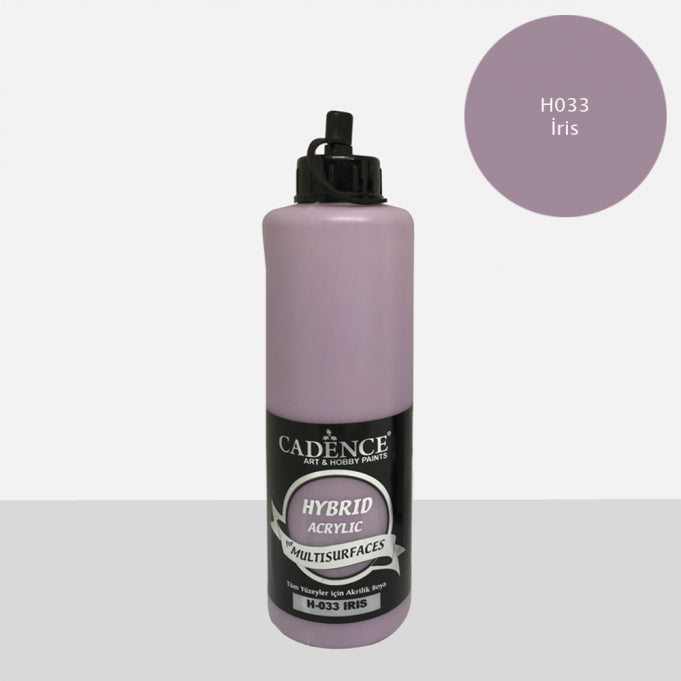 H033 İris - Multisurfaces 500ML