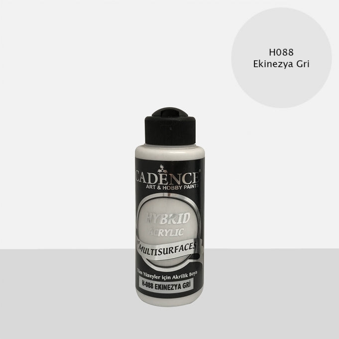 H088 Ekinezya Gri - Multisurfaces 120ML