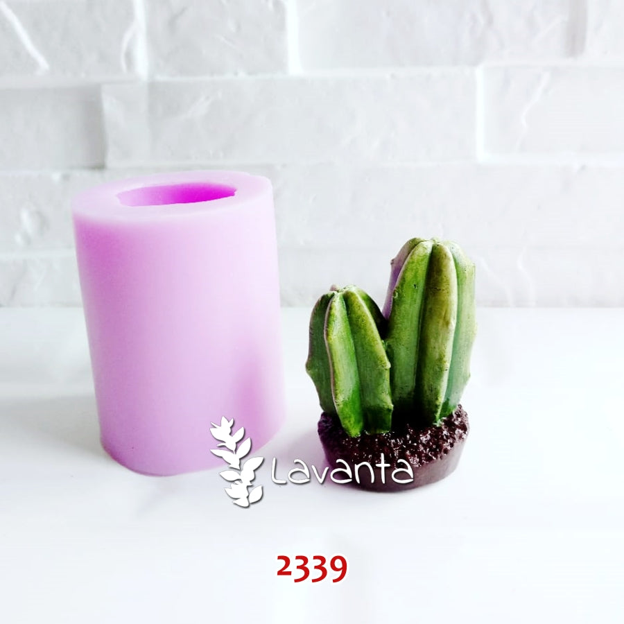 İkili Çubuk Kaktüs Kokulu Taş Kalıbı