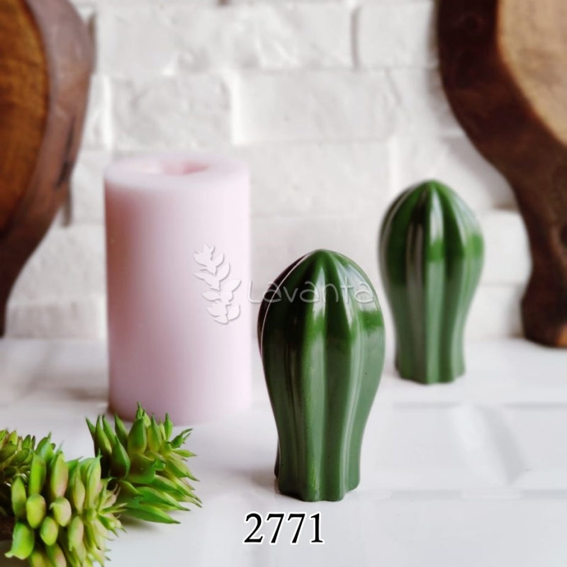 İnce Uzun Kaktüs Kalıbı