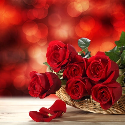 Kırmızı Gül Esansı