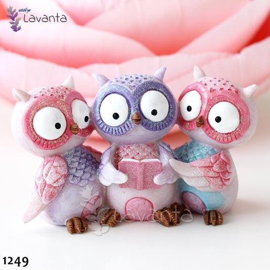 Kitap Okuyan Baykuşlar Silikon Kalıbı