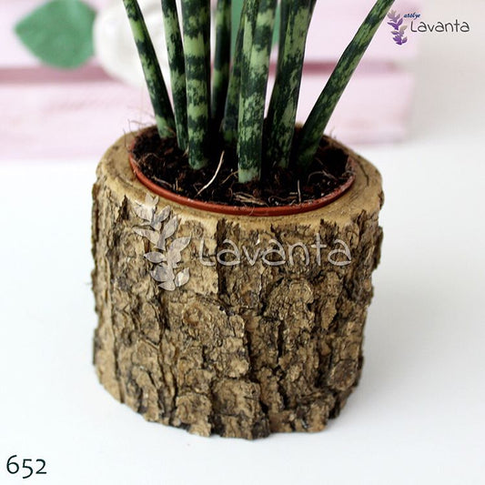 Kütük Saksı Silikon Kalıbı