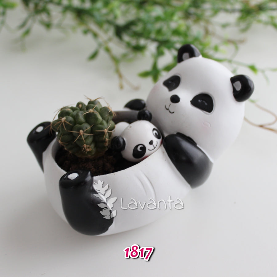 Panda Saksı Silikon Kalıbı