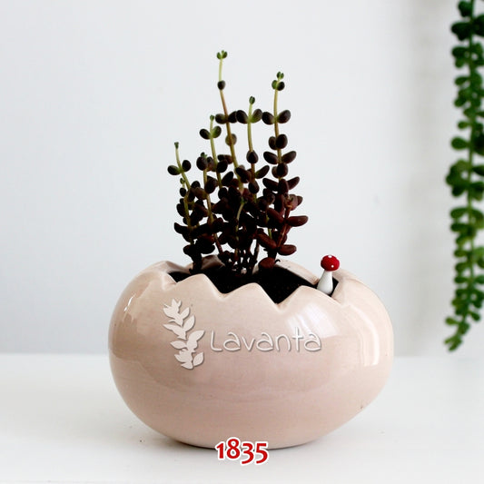 Yumurta Saksı Silikon Kalıbı